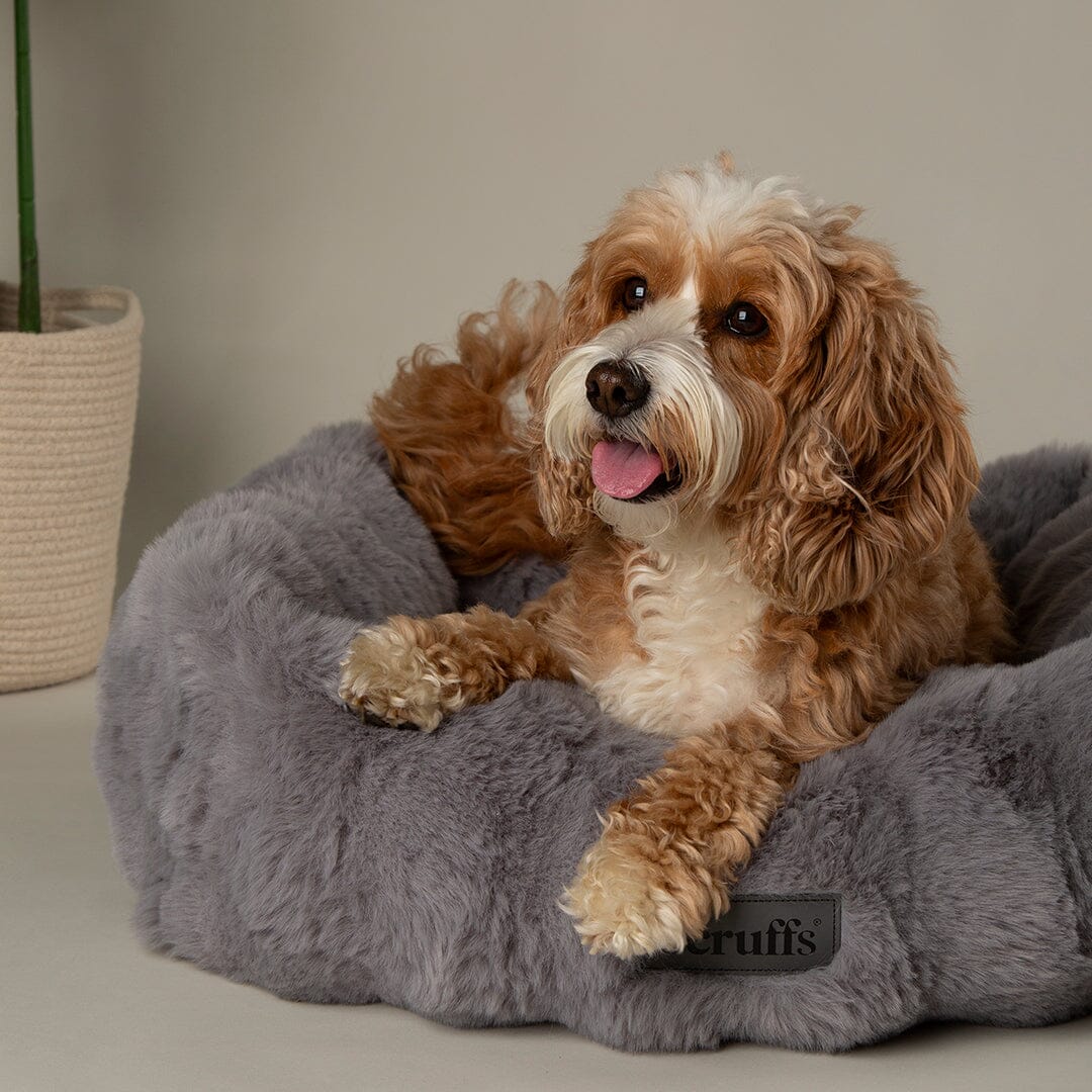 Alpine Box Bed - Grey Dog Beds Scruffs® 