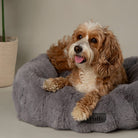 Alpine Box Bed - Grey Dog Beds Scruffs® 