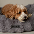 Alpine Box Bed - Grey Dog Beds Scruffs® 