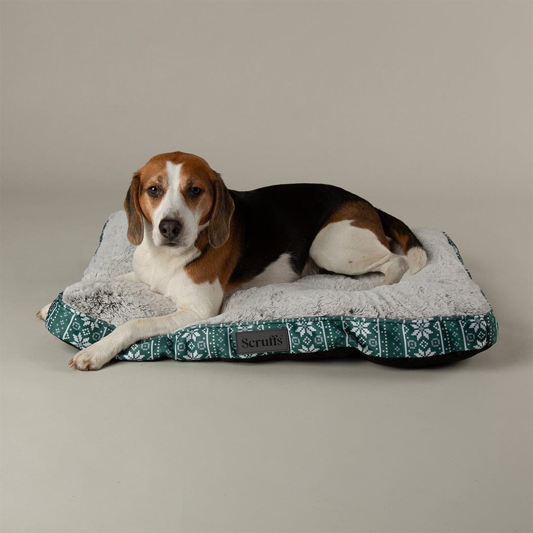 Santa Paws Mattress - Green Dog Beds Scruffs® 