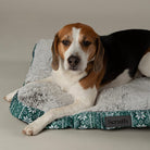 Santa Paws Mattress - Green Dog Beds Scruffs® 