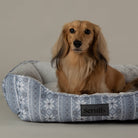 Santa Paws Box Bed - Grey Dog Beds Scruffs® 