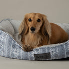 Santa Paws Box Bed - Grey Dog Beds Scruffs® 