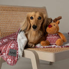 Santa Paws Blanket & Reindeer Gift Set - Red Dog Beds Scruffs® 