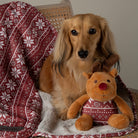 Santa Paws Blanket & Reindeer Gift Set - Red Dog Beds Scruffs® 