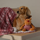 Santa Paws Blanket & Reindeer Gift Set - Red Dog Beds Scruffs® 