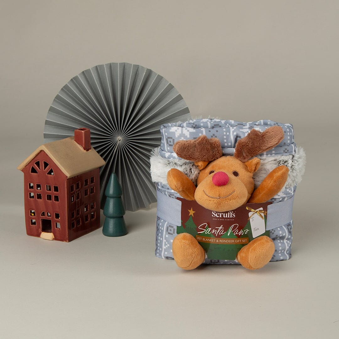 Santa Paws Blanket & Reindeer Gift Set