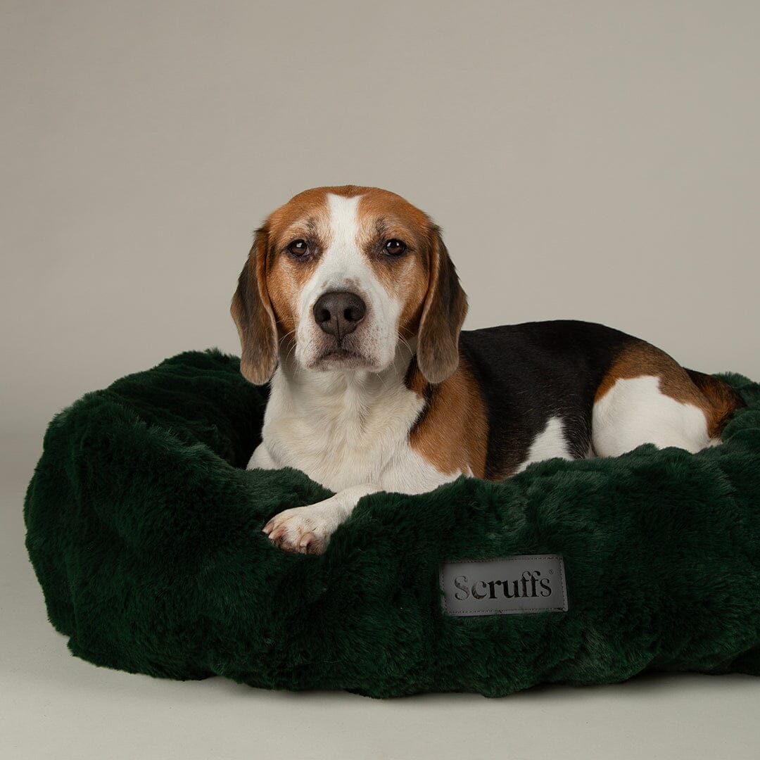 Festive Fur Box Bed