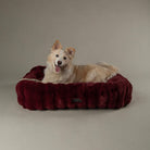 Festive Fur Box Bed - Burgundy Dog Beds Scruffs® 