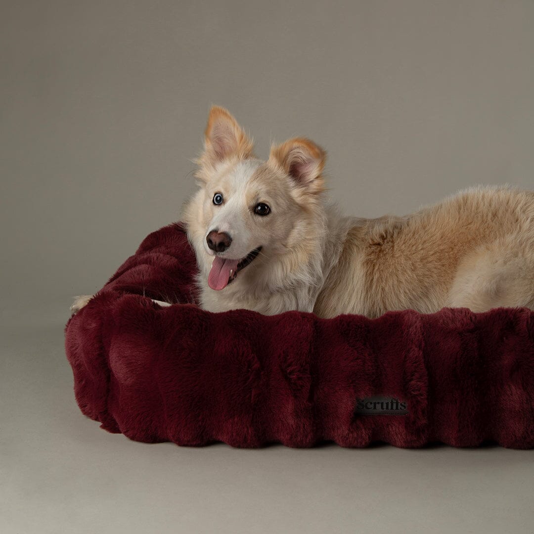Festive Fur Box Bed - Burgundy Dog Beds Scruffs® 