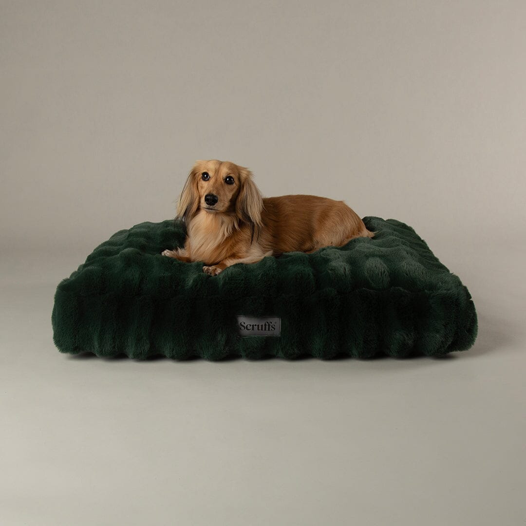 Festive Fur Mattress - Green Dog Beds Scruffs® 