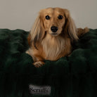Festive Fur Mattress - Green Dog Beds Scruffs® 