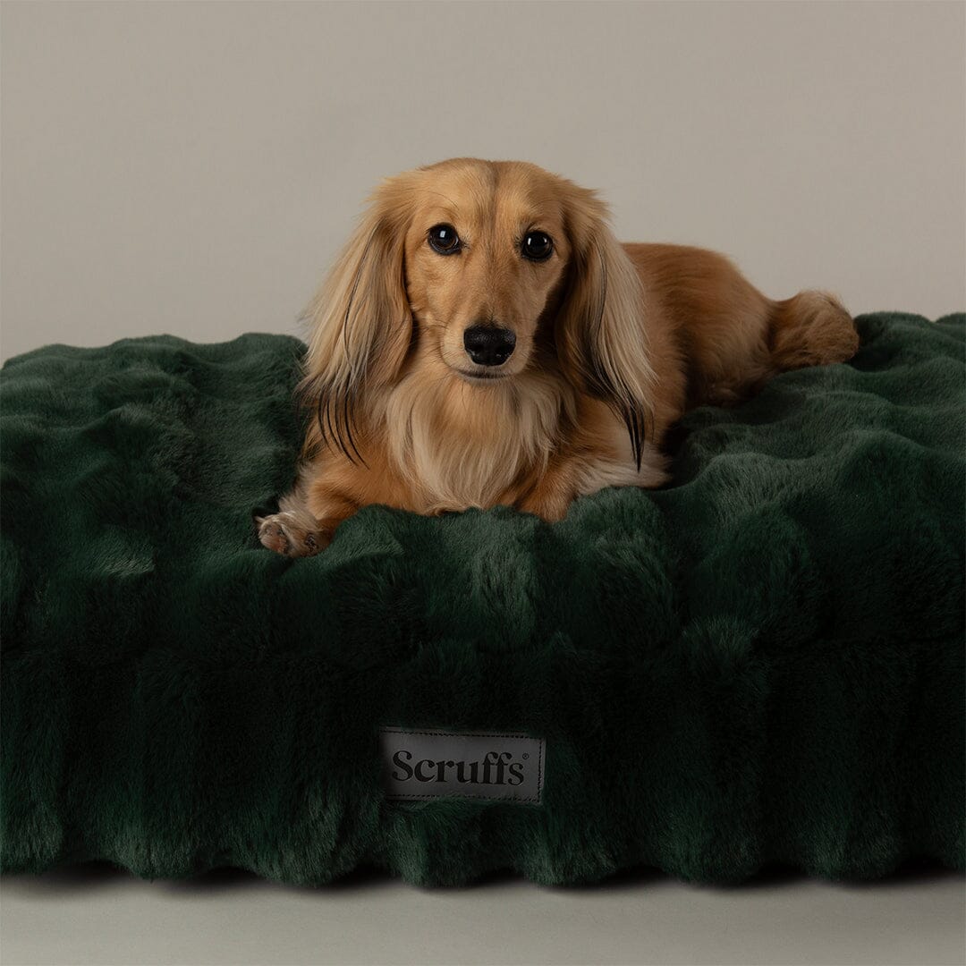 Festive Fur Mattress - Green Dog Beds Scruffs® 