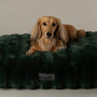 Festive Fur Mattress - Green Dog Beds Scruffs® 