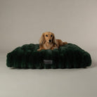 Festive Fur Mattress - Green Dog Beds Scruffs® 