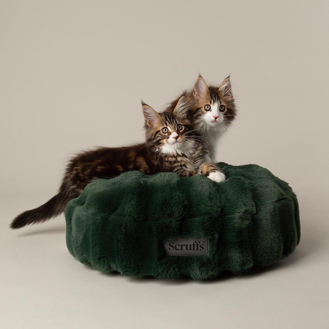 Festive Fur Cat Bed - Green Cat Bed Scruffs® 