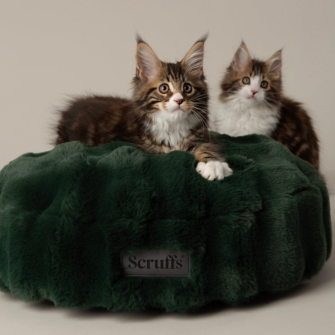 Festive Fur Cat Bed - Green Cat Bed Scruffs® 
