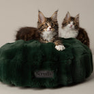 Festive Fur Cat Bed - Green Cat Bed Scruffs® 
