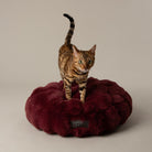 Festive Fur Cat Bed - Burgundy Cat Bed Scruffs® 
