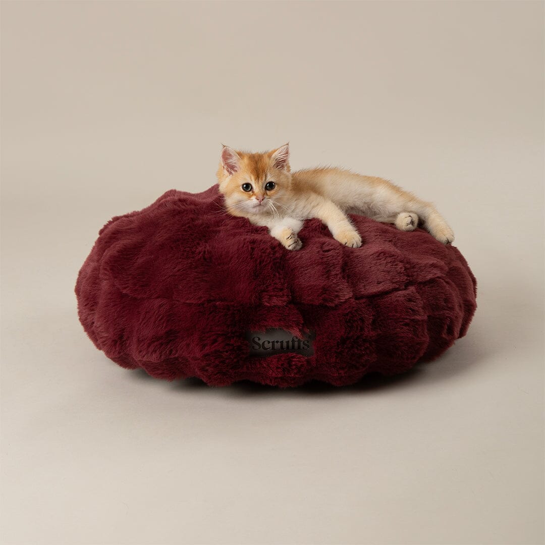 Festive Fur Cat Bed - Burgundy Cat Bed Scruffs® 