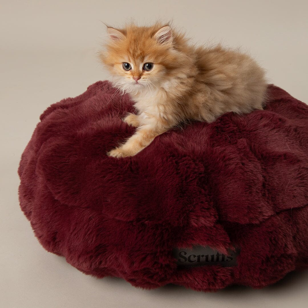 Festive Fur Cat Bed - Burgundy Cat Bed Scruffs® 