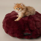 Festive Fur Cat Bed - Burgundy Cat Bed Scruffs® 
