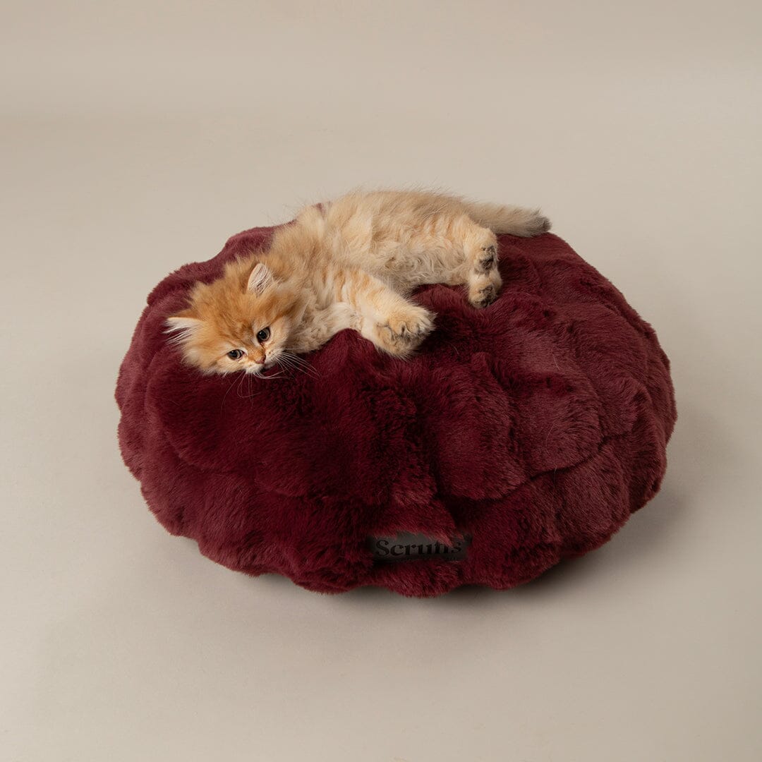 Festive Fur Cat Bed - Burgundy Cat Bed Scruffs® 
