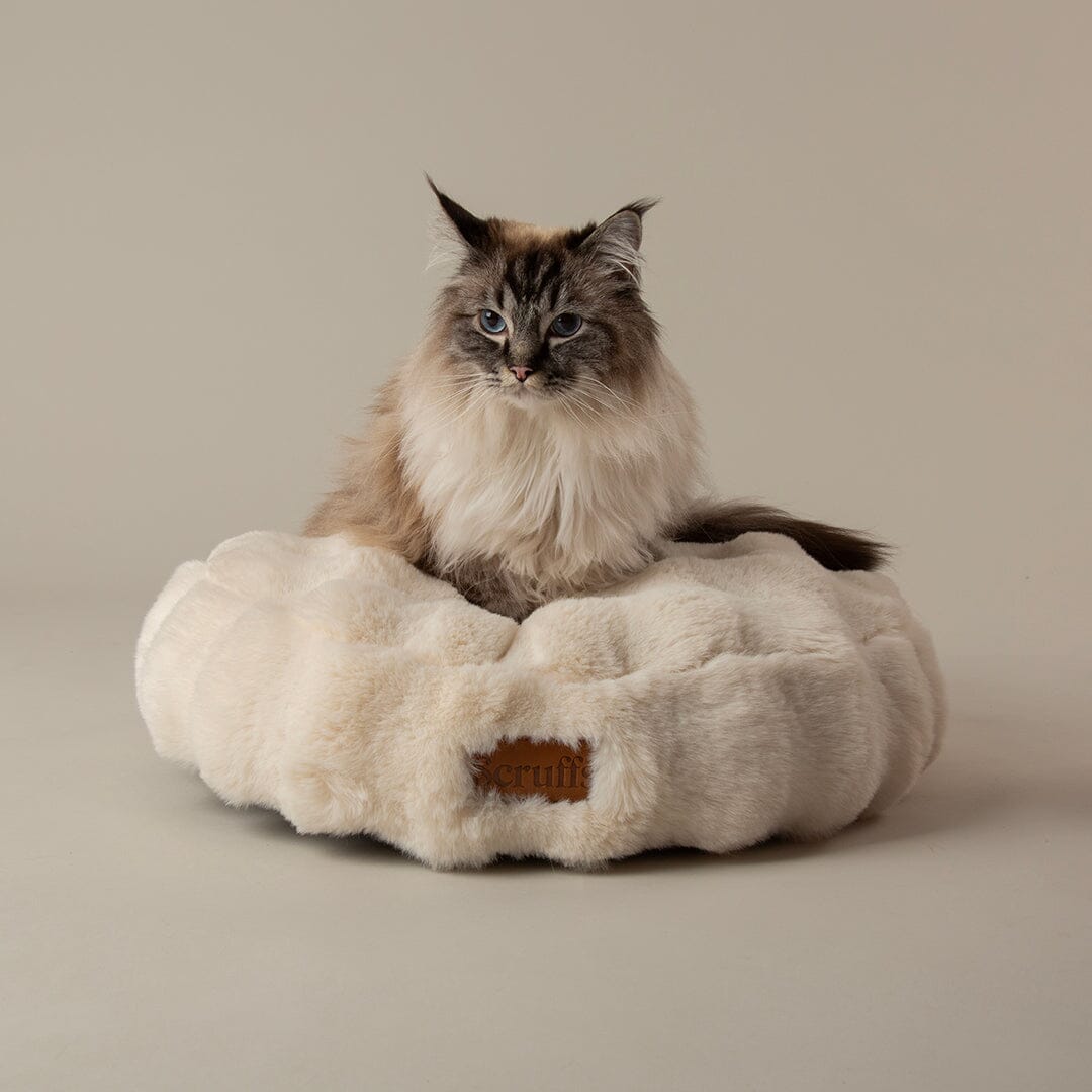 Festive Fur Cat Bed - Cream Cat Bed Scruffs® 