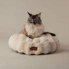 Festive Fur Cat Bed - Cream Cat Bed Scruffs® 
