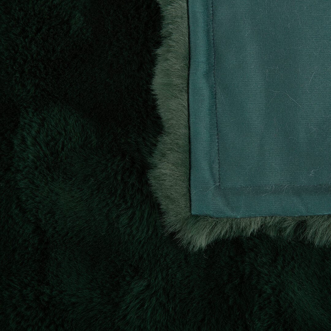 Festive Fur Pet Blanket - Green Dog Blanket Scruffs® 