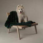Festive Fur Pet Blanket - Green Dog Blanket Scruffs® 