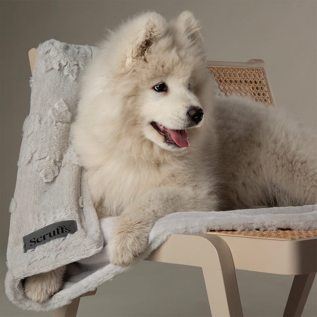 Snowflake Shimmer Pet Blanket - Taupe Dog Blanket Scruffs® 