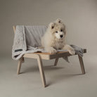 Snowflake Shimmer Pet Blanket - Taupe Dog Blanket Scruffs® 