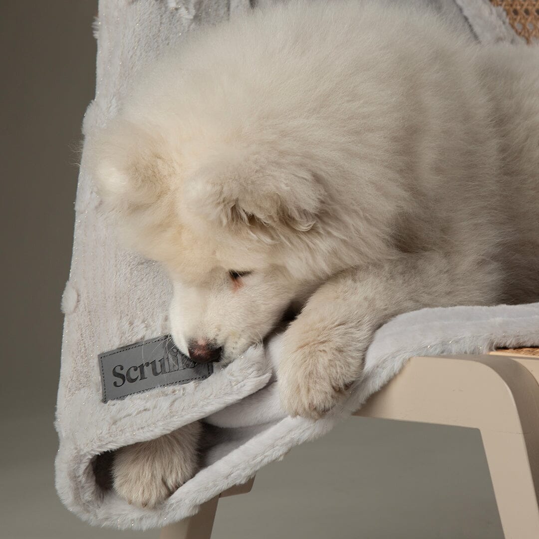 Snowflake Shimmer Pet Blanket - Taupe Dog Blanket Scruffs® 