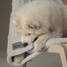Snowflake Shimmer Pet Blanket - Taupe Dog Blanket Scruffs® 