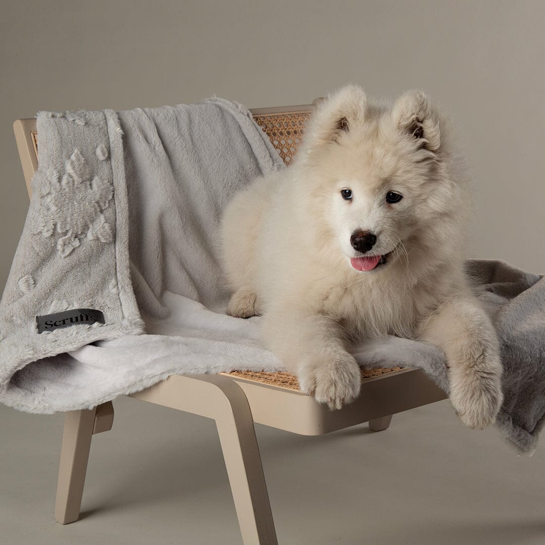 Snowflake Shimmer Pet Blanket - Taupe Dog Blanket Scruffs® 