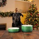 Winters Tail Food & Drink Bowl Gift Set - Green Pet Bowls, Feeders & Waterers Scruffs® 
