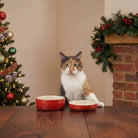 Winters Tail Food & Saucer Gift Set - Red Pet Bowls, Feeders & Waterers Scruffs® 