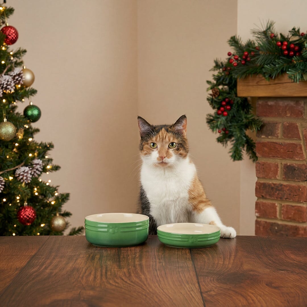 Winters Tail Food & Saucer Gift Set - Green Pet Bowls, Feeders & Waterers Scruffs® 