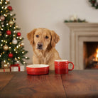 Winters Tail Food Bowl 15cm & Mug Gift Set - Red Pet Bowls, Feeders & Waterers Scruffs® 