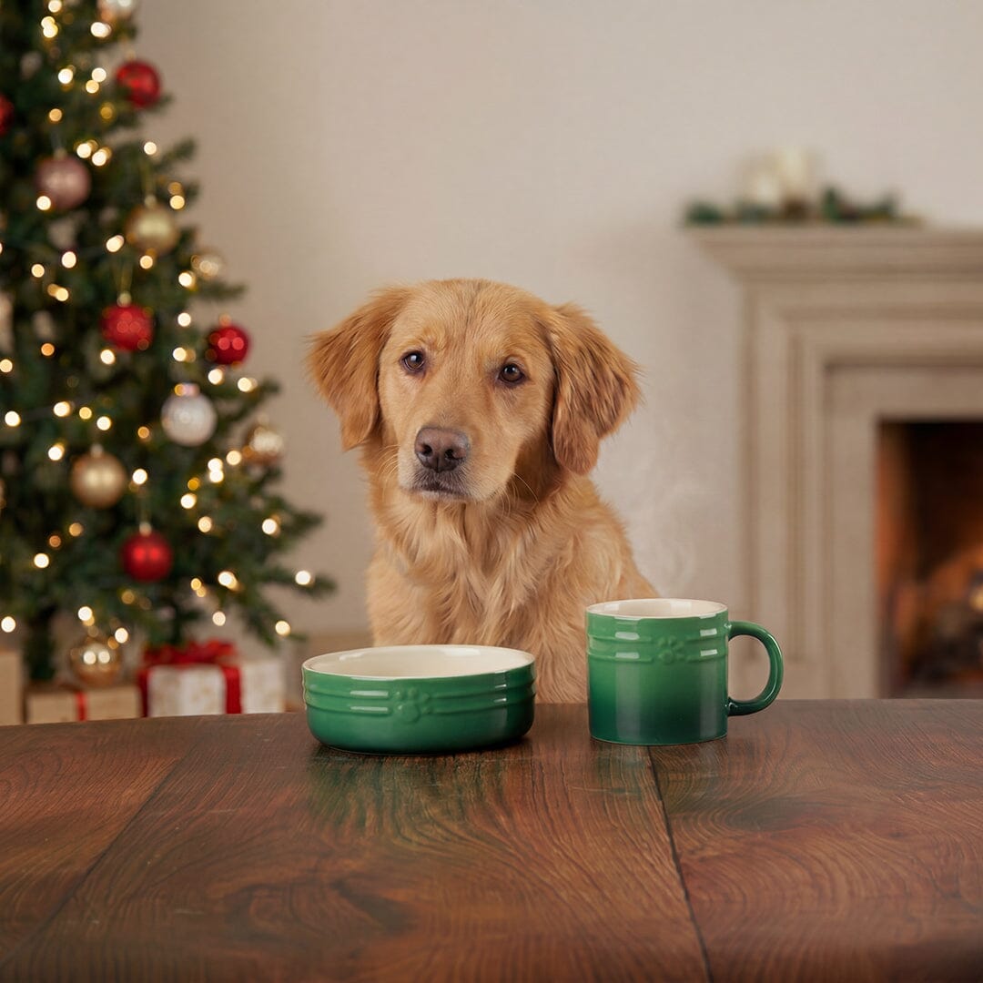 Winters Tail Food Bowl 15cm & Mug Gift Set - Green Pet Bowls, Feeders & Waterers Scruffs® 