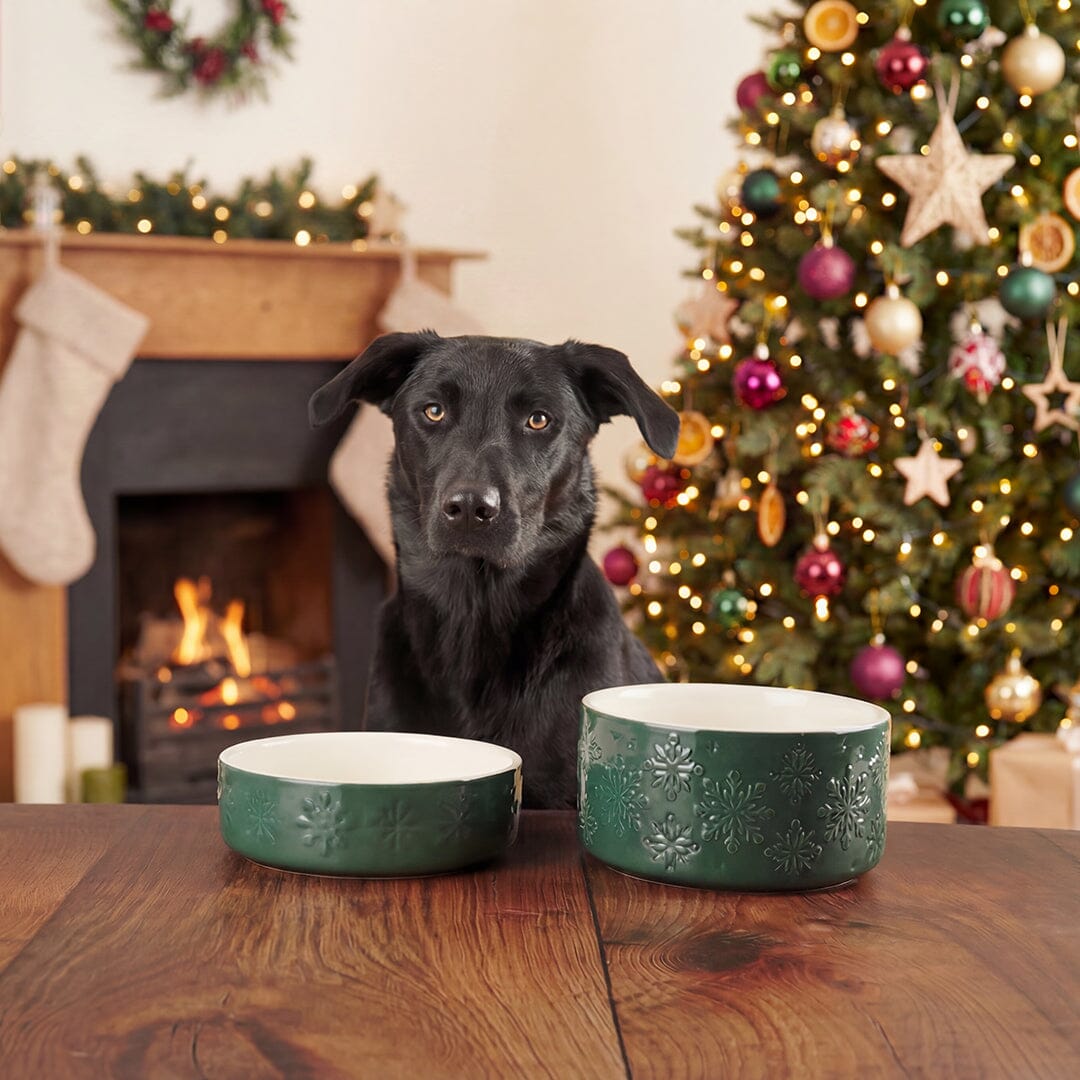 Snow Bowl Food & Drink Bowl Gift Set - Green Pet Bowls, Feeders & Waterers Scruffs® 