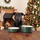 Snow Bowl Food & Drink Bowl Gift Set - Green Pet Bowls, Feeders & Waterers Scruffs® 
