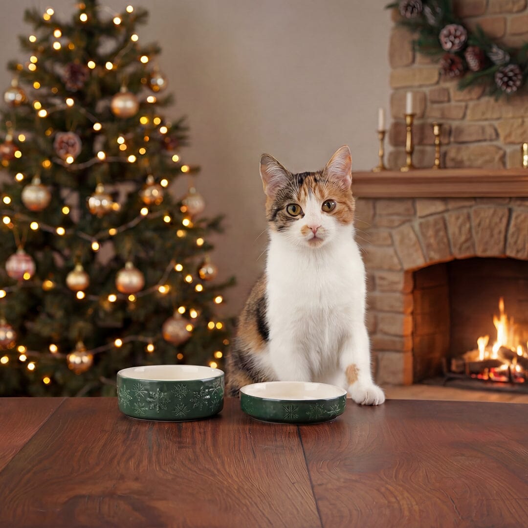 Snow Bowl Food & Saucer Gift Set - Green Pet Bowls, Feeders & Waterers Scruffs® 