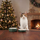 Snow Bowl Food & Saucer Gift Set - Green Pet Bowls, Feeders & Waterers Scruffs® 