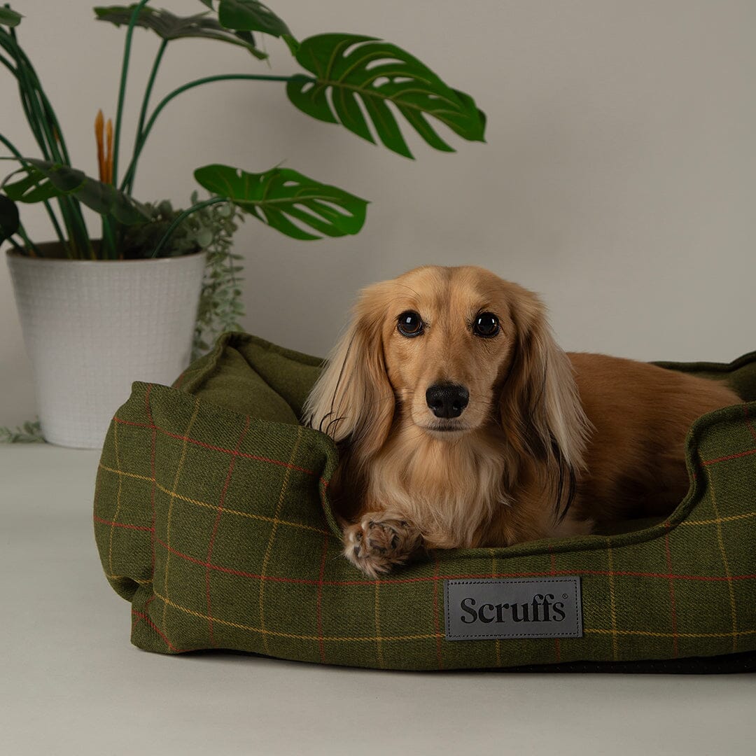 Shetland Box Bed - Green Dog Beds Scruffs® 