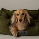 Shetland Box Bed - Green Dog Beds Scruffs® 
