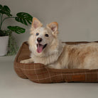 Shetland Box Bed - Brown Dog Beds Scruffs® 