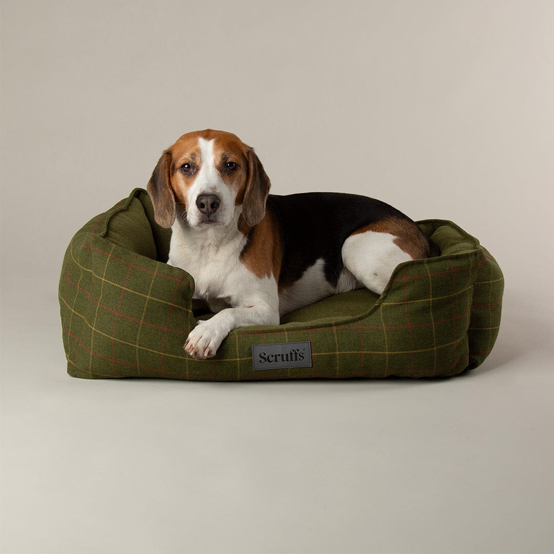 Shetland Box Bed - Green Dog Beds Scruffs® 