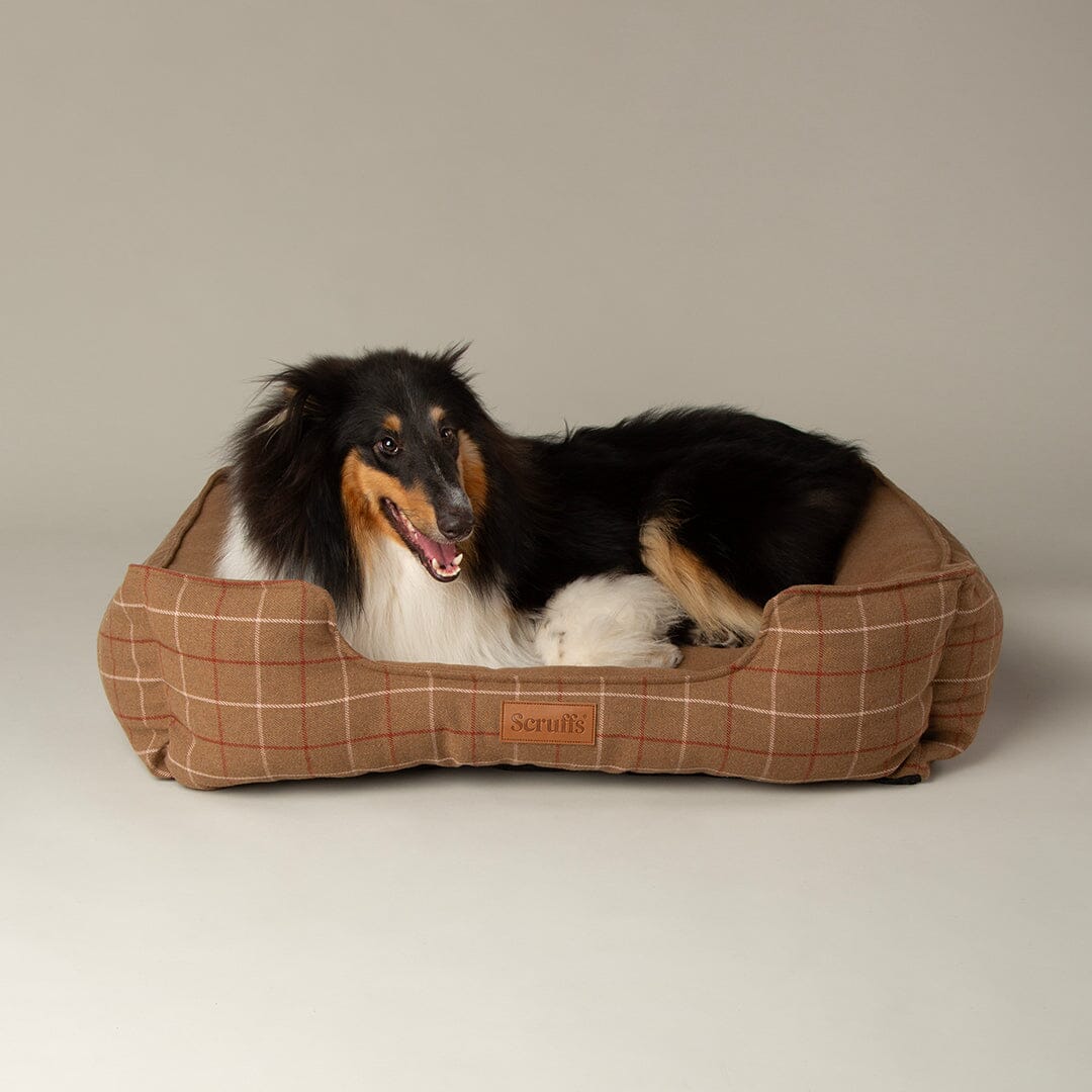 Shetland Box Bed - Brown Dog Beds Scruffs® 